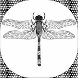 Coloring page of Balck Dragonfly, Zentangle Illustartion
