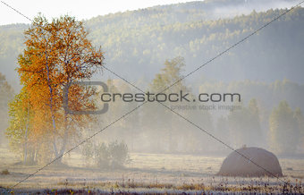 The haystack in the autumn forest.