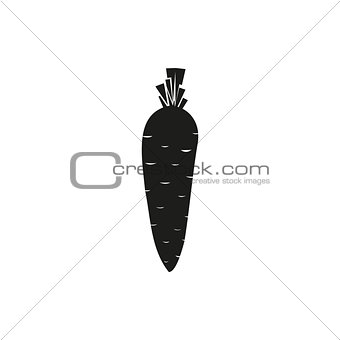 Vector illustration of Carrot isolated on white background