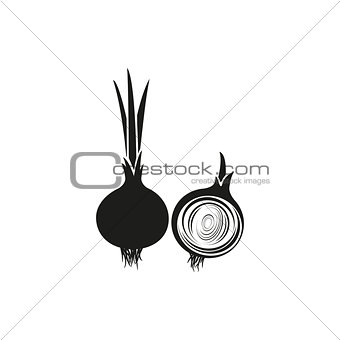 Vector illustration of Onion isolated on white background