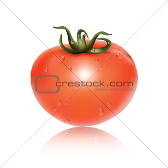 Red fresh tomato.