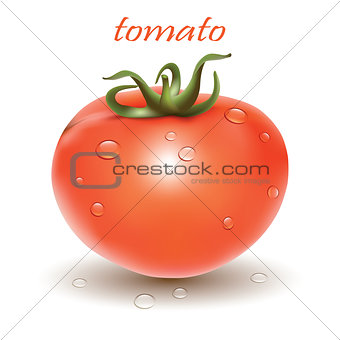 Red fresh tomato.