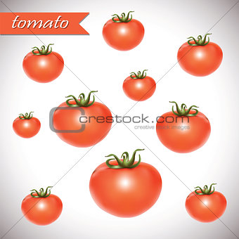 Red fresh tomatoes.