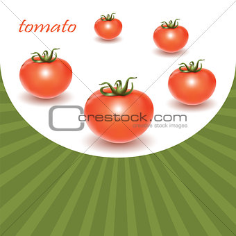 Red fresh tomatoes.