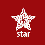 vector logo star