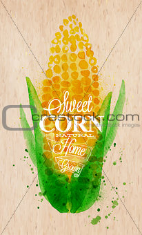 Corn watercolor poster