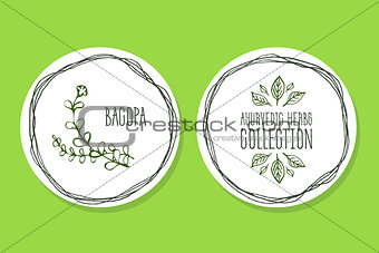 Ayurvedic Herb - Product Label with  Bacopa