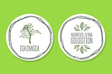Ayurvedic Herb - Product Label with Echinacea