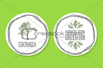 Ayurvedic Herb - Product Label with Echinacea