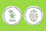 Ayurvedic Herb - Product Label with Gymnema sylvestre