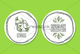 Ayurvedic Herb - Product Label with ginkgo
