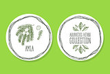 Ayurvedic Herb - Product Label with Amla