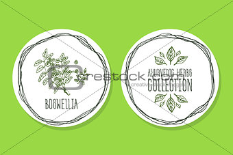 Ayurvedic Herb - Product Label wit Boswellia