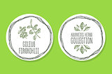 Ayurvedic Herb - Product Label with Coleus forskohlii