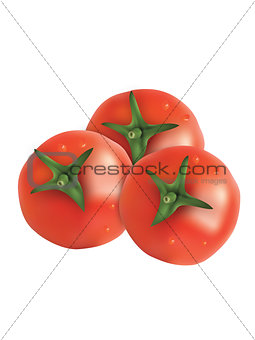 Red fresh tomatoes