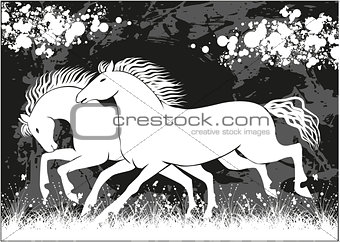 Vector running black and white horses