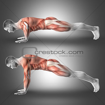 3D Male figure in push up pose