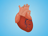isolated heart with real style vector and blue background