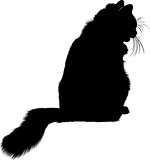 Black cat silhouette. cat.  cat animal. animal black cat silhouette vector isolated on white background