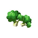 Broccoli Bright Color Simple Illustration