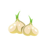 Garlic Bright Color Simple Illustration