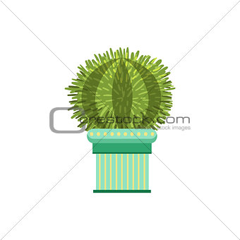 Big Globe Shape Cactus In A Pot