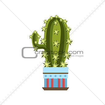 Tall Cactus With One Branch In A Pot
