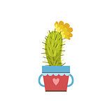 Small Blooming Cactus In A Pot