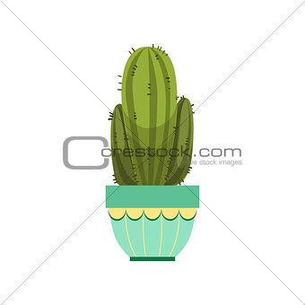 Tall Cactus With Two Branches In Blue Pot