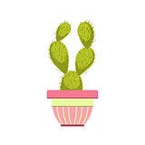 Cactus In Pink Pot