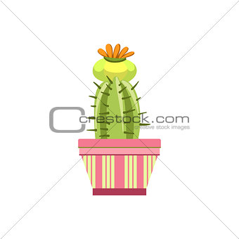 Blooming Cactus In Pink Pot