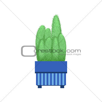 Many Tall Cacti In A Pot