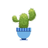 Cactus With Two Branches In A Pot