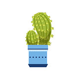 Two Cacti In Blue Pot