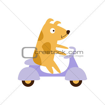 Dog Riding A Scooter