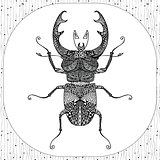 Coloring page of Balck Bug, zentangle illustartion