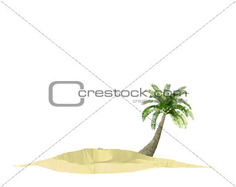 polygonal triangulated island with palm-tree over white 