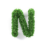 Green leaves N ecology letter alphabet font