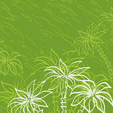 Palm trees contours on green background