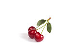 Red cherry berries with leaves