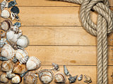 Rope and Seashells on Wooden Background
