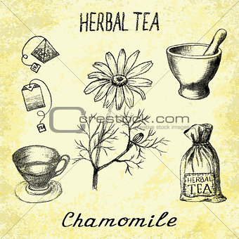 Chamomile herbal tea. Set of vector elements on the basis hand pencil drawings.