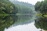 Nature landscape at morning of lakes and pine forests