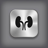 Kidneys icon - vector metal app button