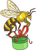 Bee Carrying Gift Box Drawing