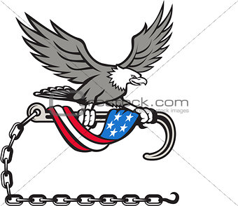 American Eagle Clutching Towing J Hook Flag Drape Retro
