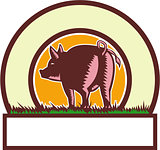 Pig Tail Rear Circle Woodcut