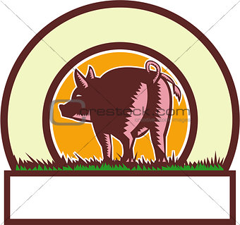 Pig Tail Rear Circle Woodcut