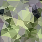 Asparagus Green Abstract Low Polygon Background