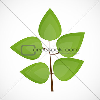 Beautiful Green Tree on a White Background Vector Illustration